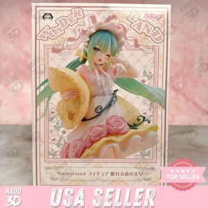 Hatsune Miku Sleeping Beauty WONDERLAND Figure TAITO New Japan